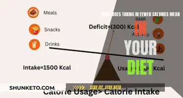 Calorie Counting: What Does It Mean for Your Diet?