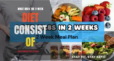 The Strict Diet Plan: Two Weeks to Success