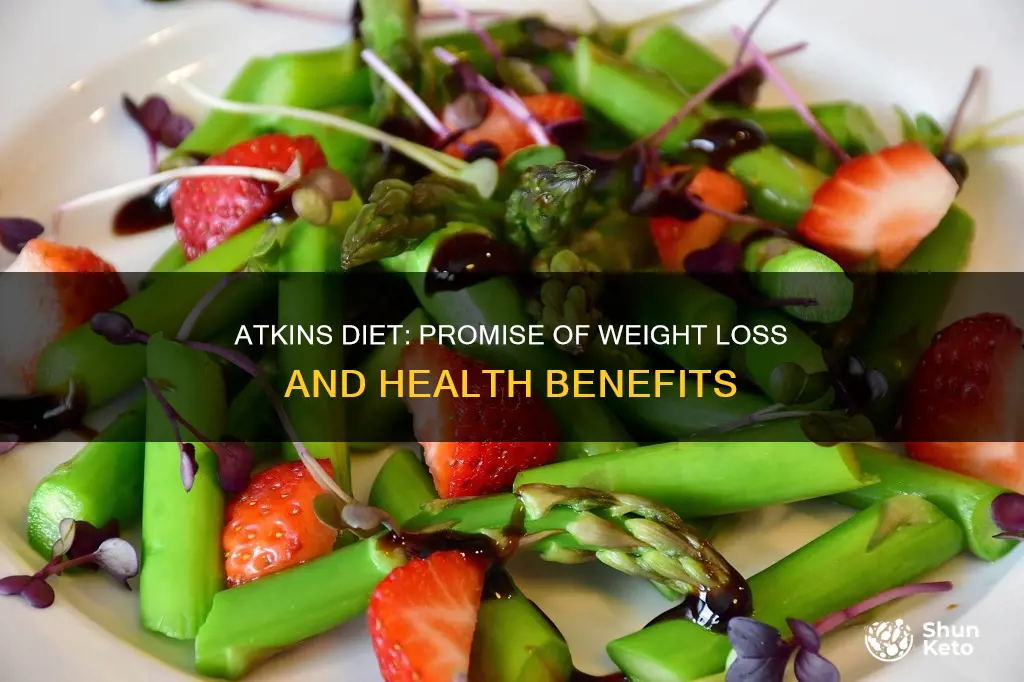 what does the atkins diet promise