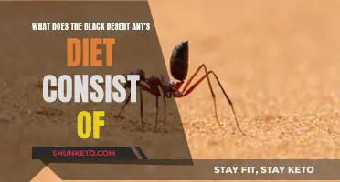 Black Desert Ants: Their Diet Explored