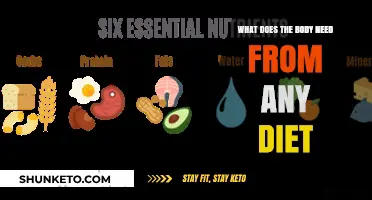 Nutrition Basics: What Your Body Needs