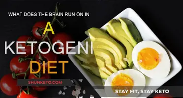 Ketogenic Diet: Brain Power Source Explained