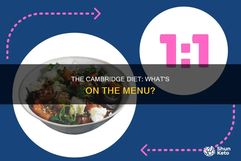 what does the cambridge diet consist of