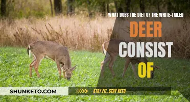 Understanding the Dietary Habits of White-Tailed Deer