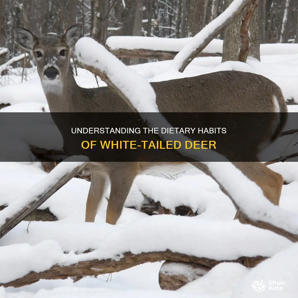 what does the diet of the white-tailed deer consist of