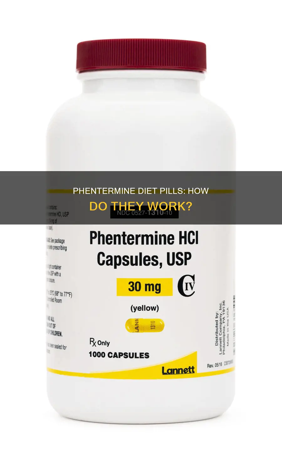 what does the diet pill phentermine do