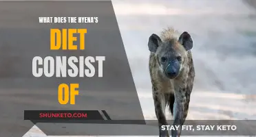 Hyena's Diet: Understanding Their Unique Eating Habits