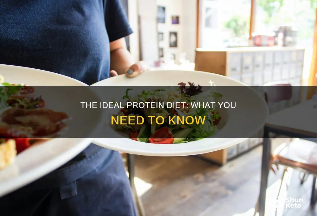what does the ideal protein diet consist of