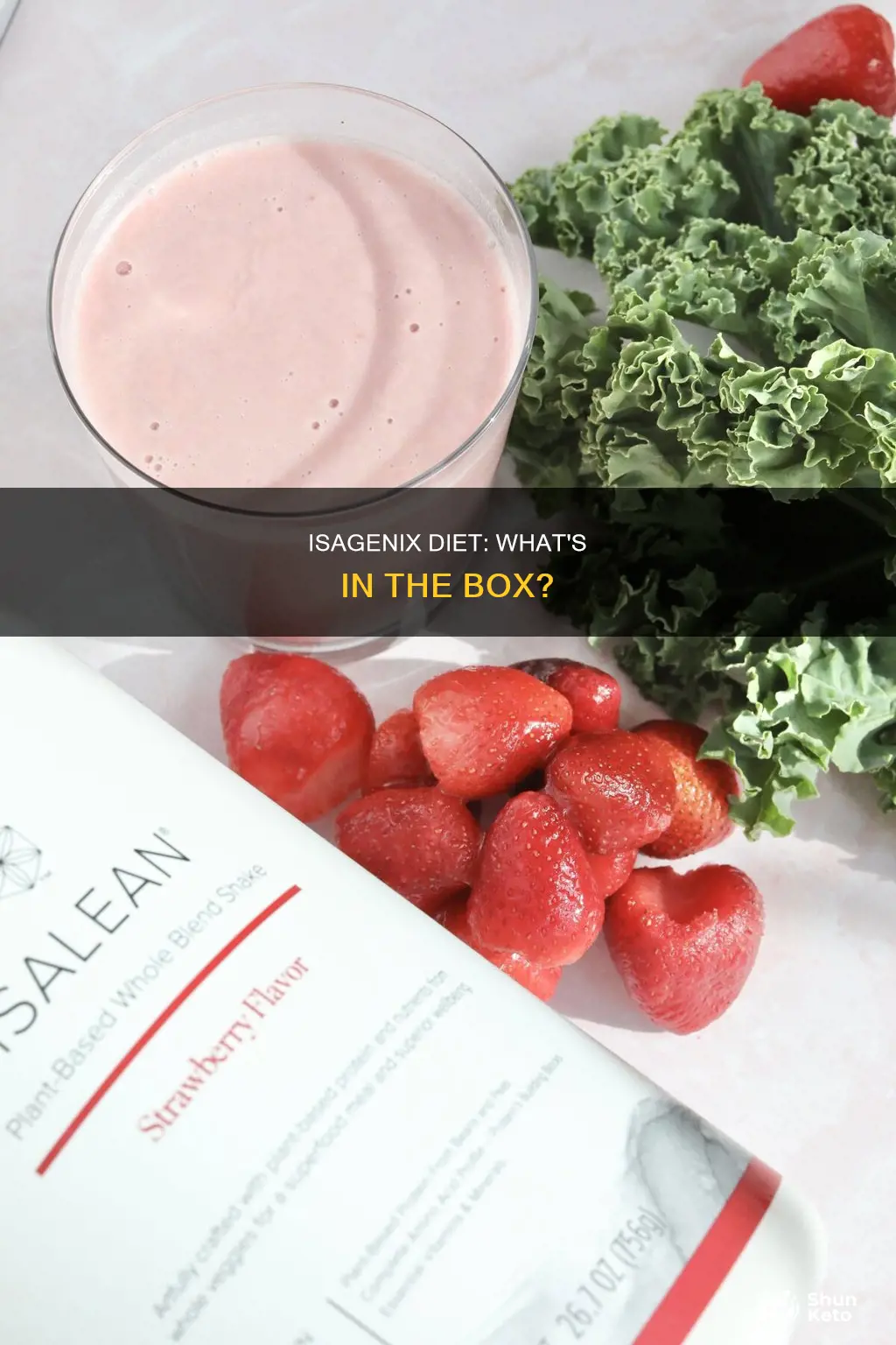 what does the isagenix diet consist of