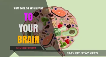 Keto Diet's Impact: How Low-Carb Eating Affects Brain Function
