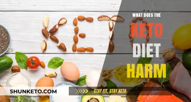 Potential Risks of Keto: Uncovering the Harmful Effects of the Diet