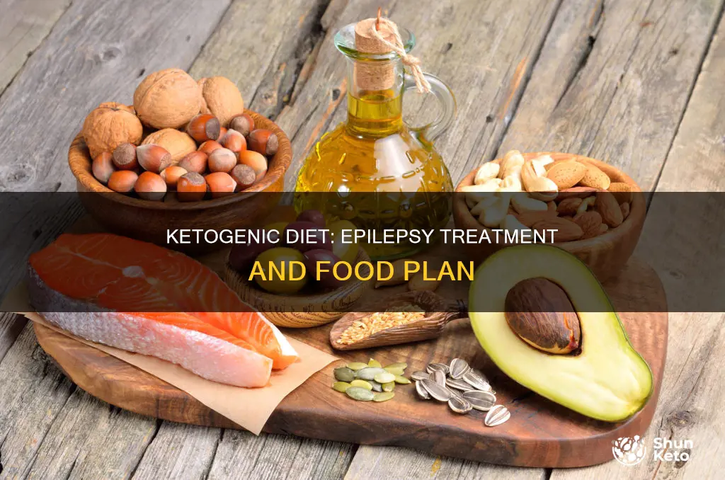 what does the ketogenic diet consist of for epilepsy