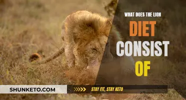 The Lion's Diet: Meat, Meat, and More Meat