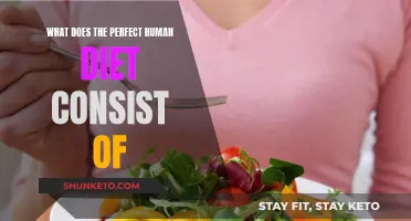 The Perfect Human Diet: What You Need to Know