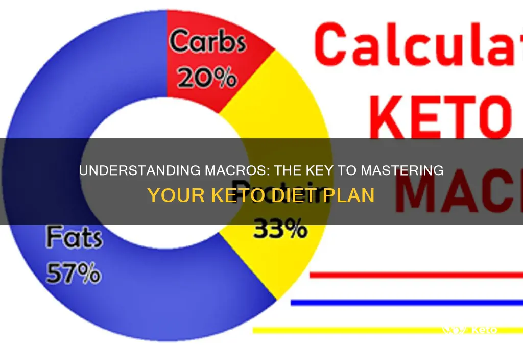 what does the term macro