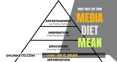 Understanding the Concept of a Media Diet