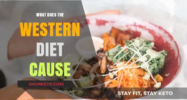 Western Diet: A Recipe for Health Disaster