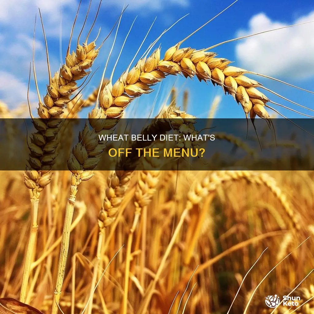 what does the wheat belly diet consist of