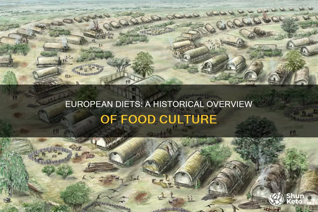 what does the word diets mean in european history