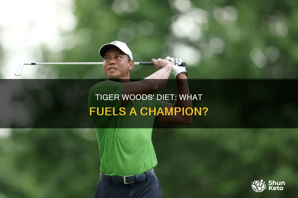 what does tiger woods diet consist of