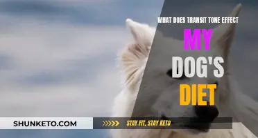 How Transit Tone Impacts Your Dog's Diet