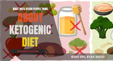 Vegan Views on the Ketogenic Diet: Health and Ethics