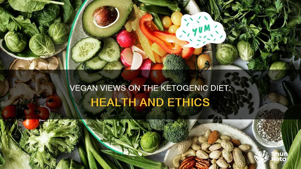 what does vegan people think about ketogenic diet