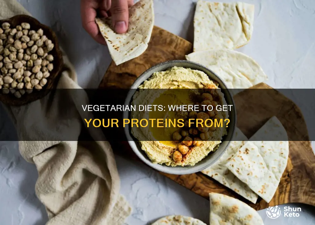 what does vegetarian diet reccomend for protein