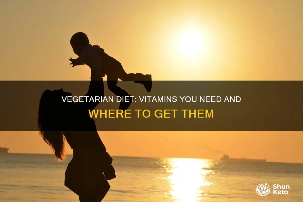 what does vegetarian diet reccomend for vitamin