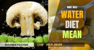Water Diet: What Does It Mean and How to Start?