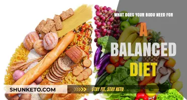 Nutrition Basics: Balanced Diet, Healthy Body