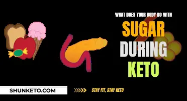 How Your Body Processes Sugar on Keto