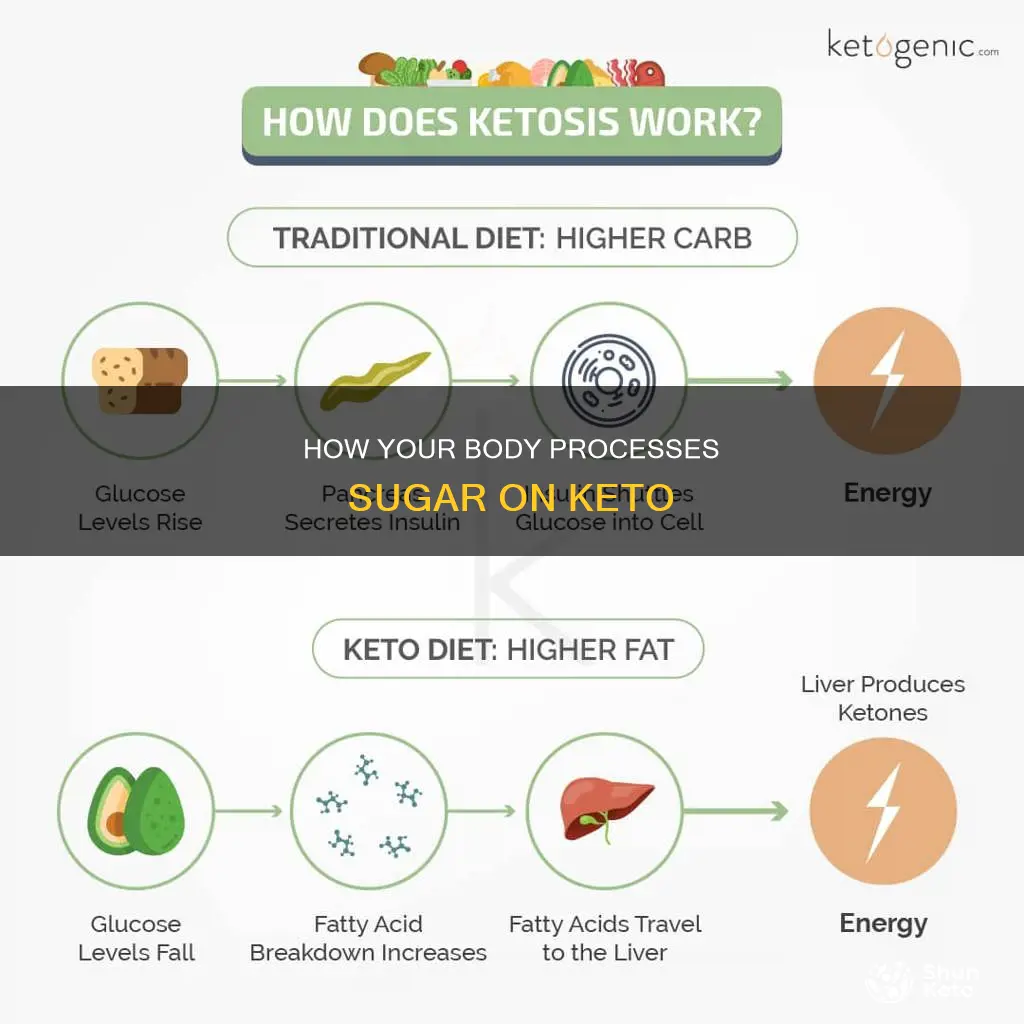 what does your body do with sugar during keto