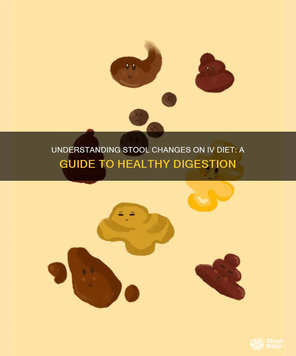 what does your stool look like on an iv diet