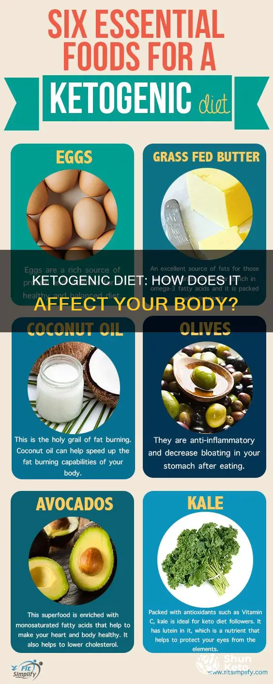 what efdect does ketogenic diet have on the body