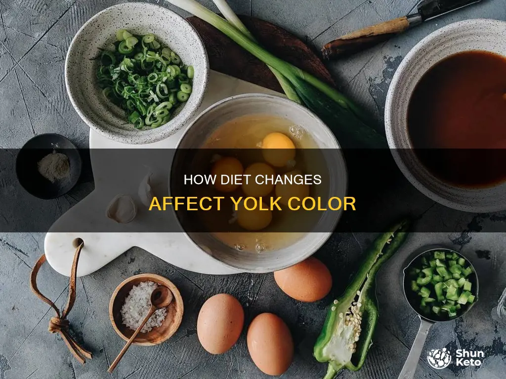 what effect does diet change have on yolk colour
