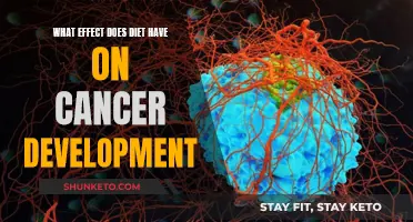 Cancer and Diet: What's the Link?