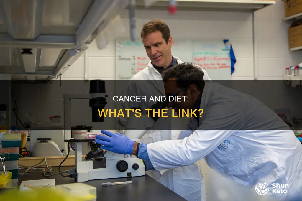 what effect does diet have on cancer development
