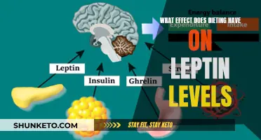 Leptin Levels: How Dieting Affects Your Hormones