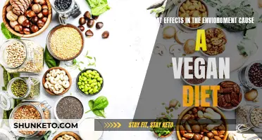 Vegan Diet: Environmental Impacts and Influences