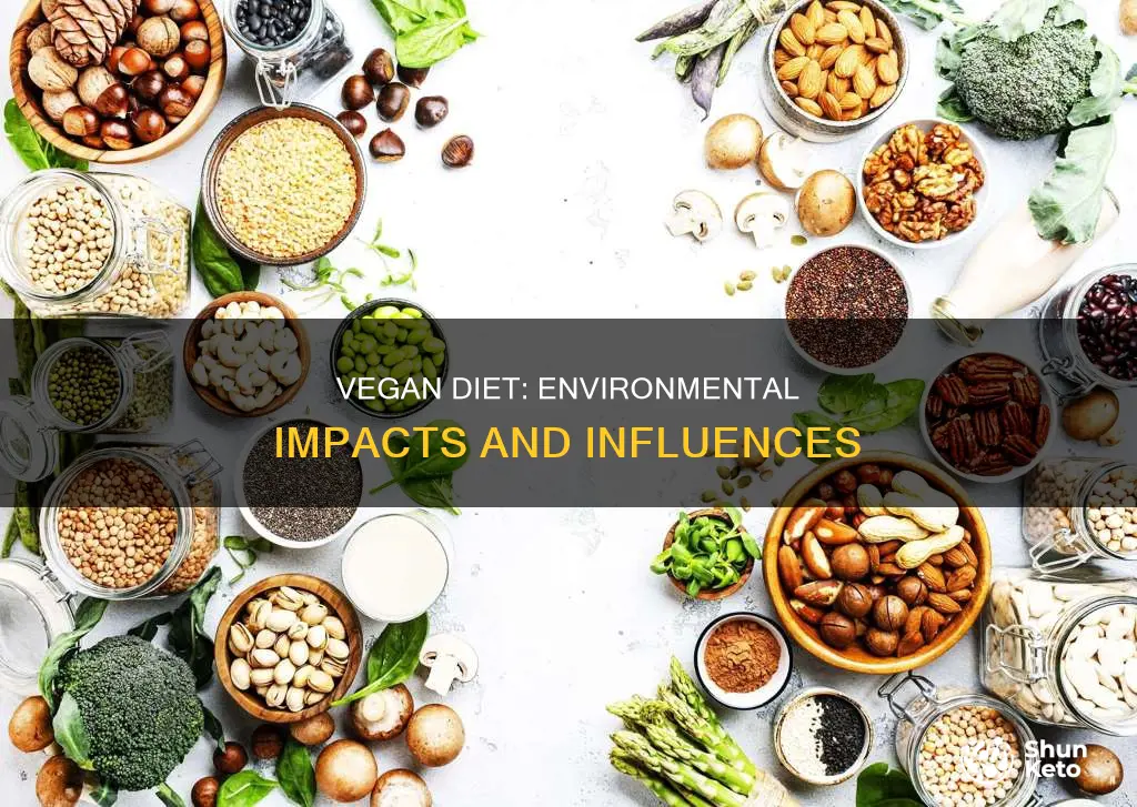 what effects in the envioroment cause a vegan diet