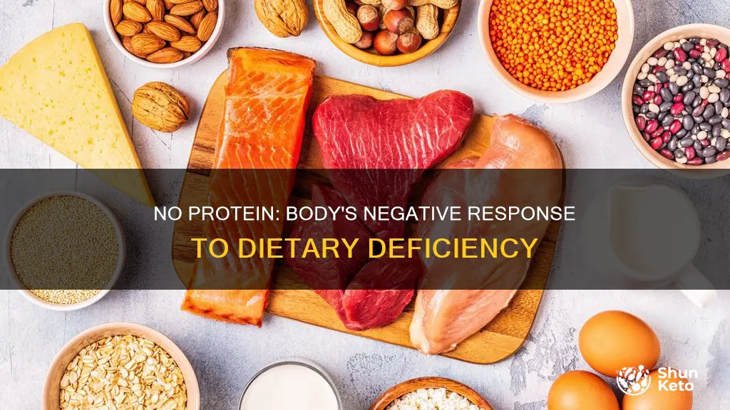 what effects on body does no protein in diet have