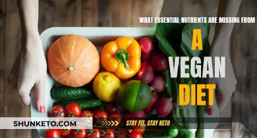 Vegan Diets: Essential Nutrients Missing and How to Get Them