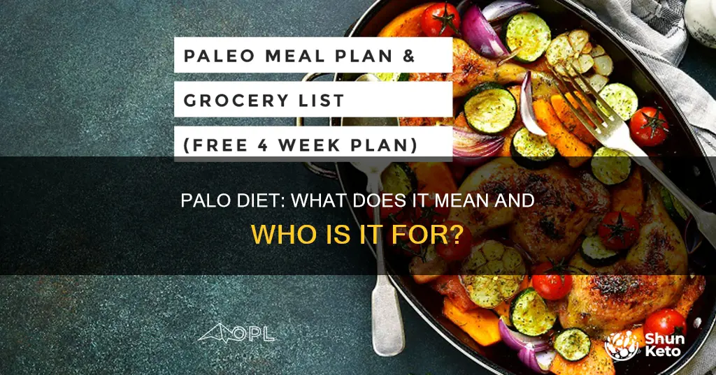what exact does a palo diet mean