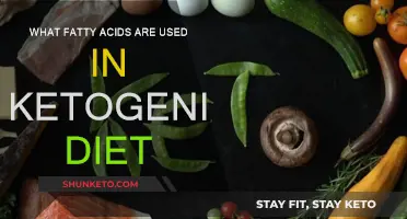 Fatty Acids: Ketogenic Diet Essentials
