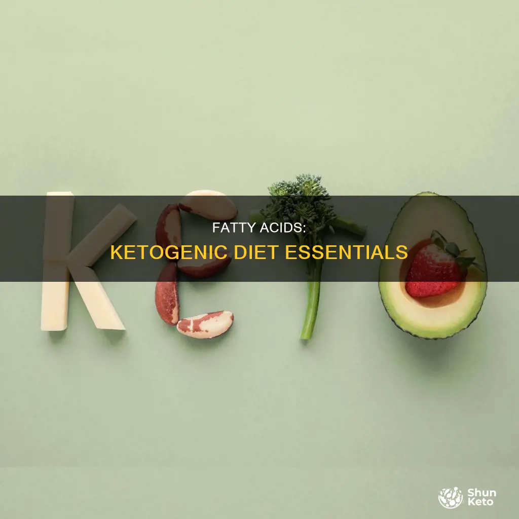 what fatty acids are used in ketogenic diet