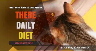 Fatty Acids: Essential Nutrients for Your Cat's Health