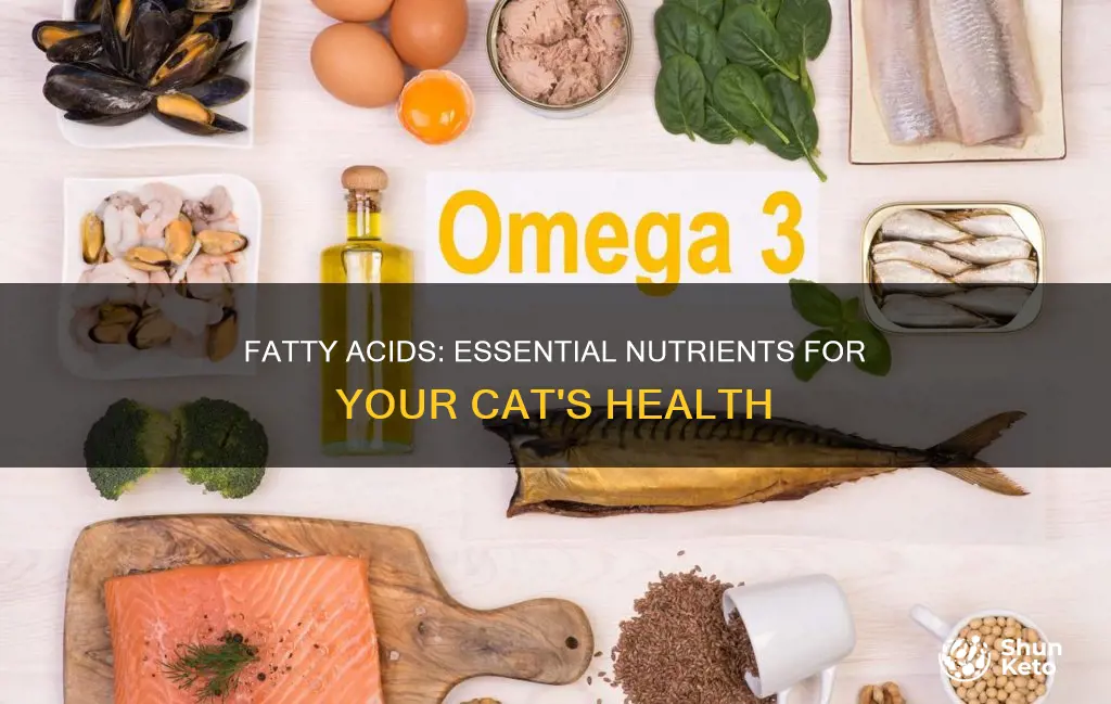 what fatty acids do cats need in there daily diet