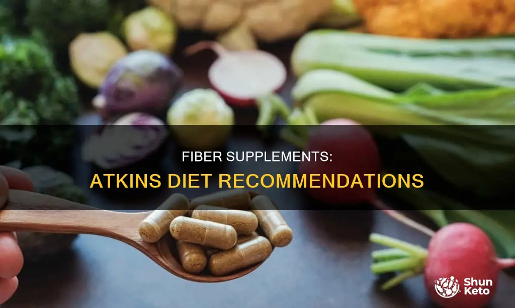 what fiber supplements are recommended for atkins diet