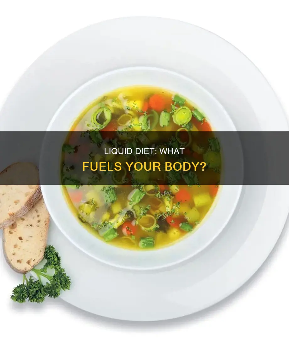 what fills you up on a liquid diet